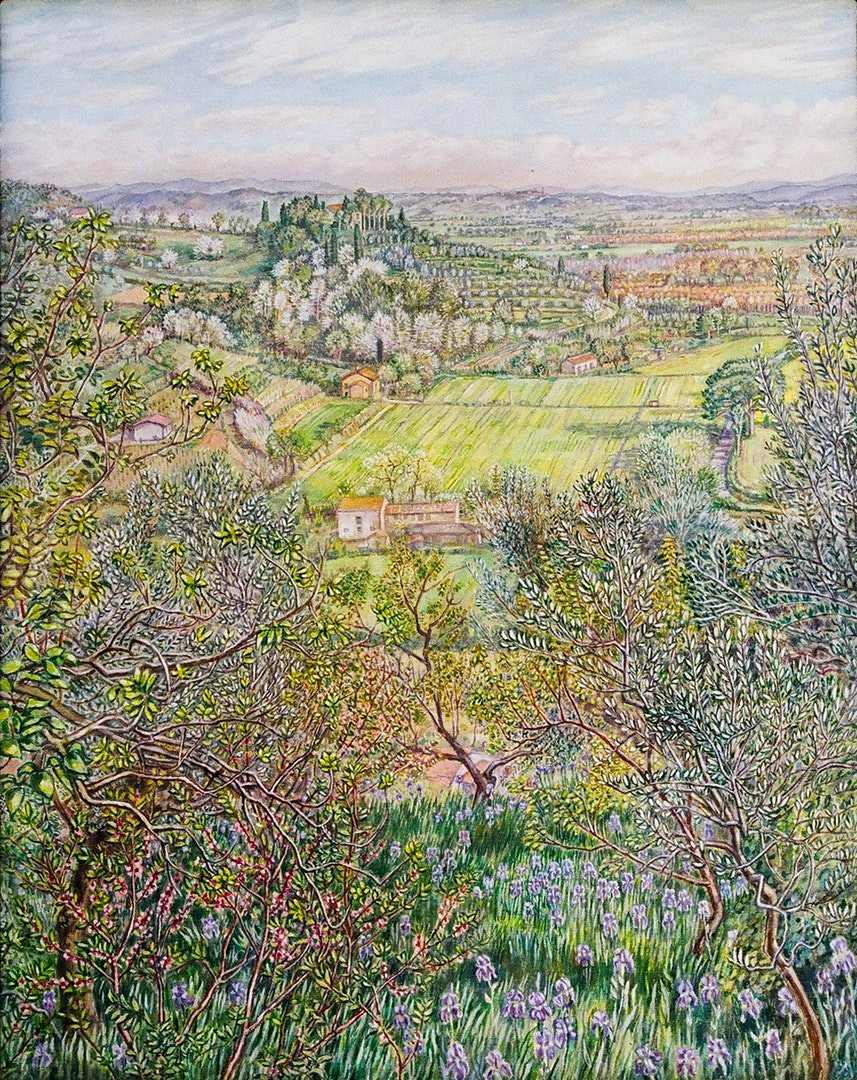 'View with irises Treggiaia Tuscany', Patricia Buckley, Oil on canvas, 51 x 41 x 2 cm