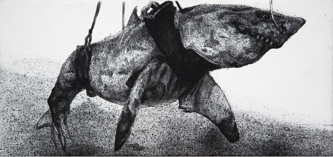 'Dead Shark', Peter Sulo, Ink and acrylic on canvas, 20 x 32 cm