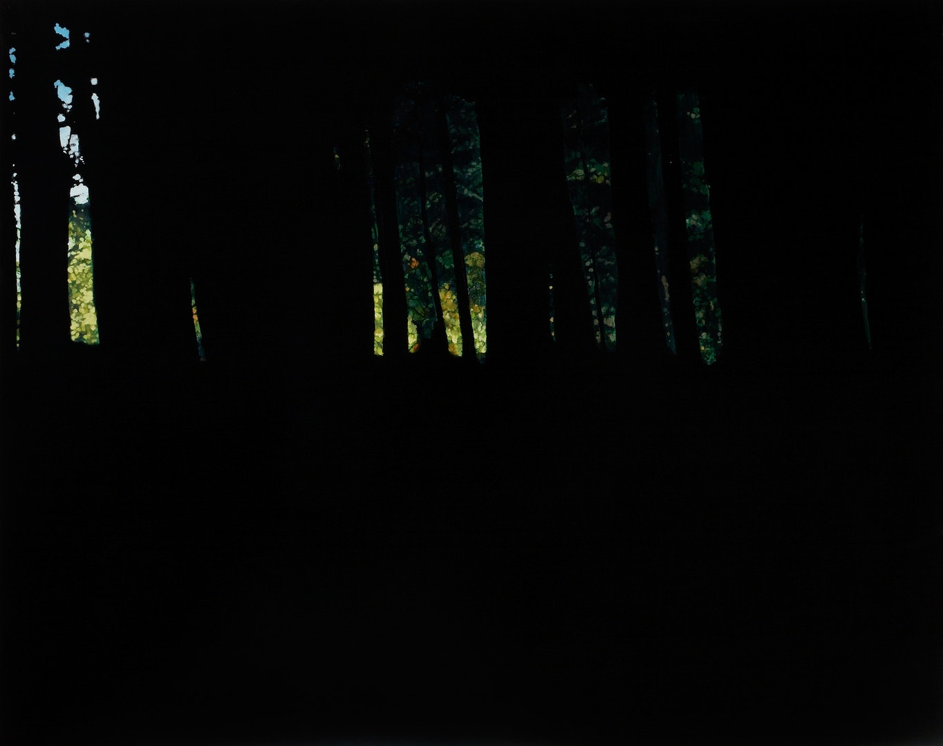 'Dark Woods III', Rachel McDonnell, Oil and gesso on canvas, 80 x 100 x 4 cm