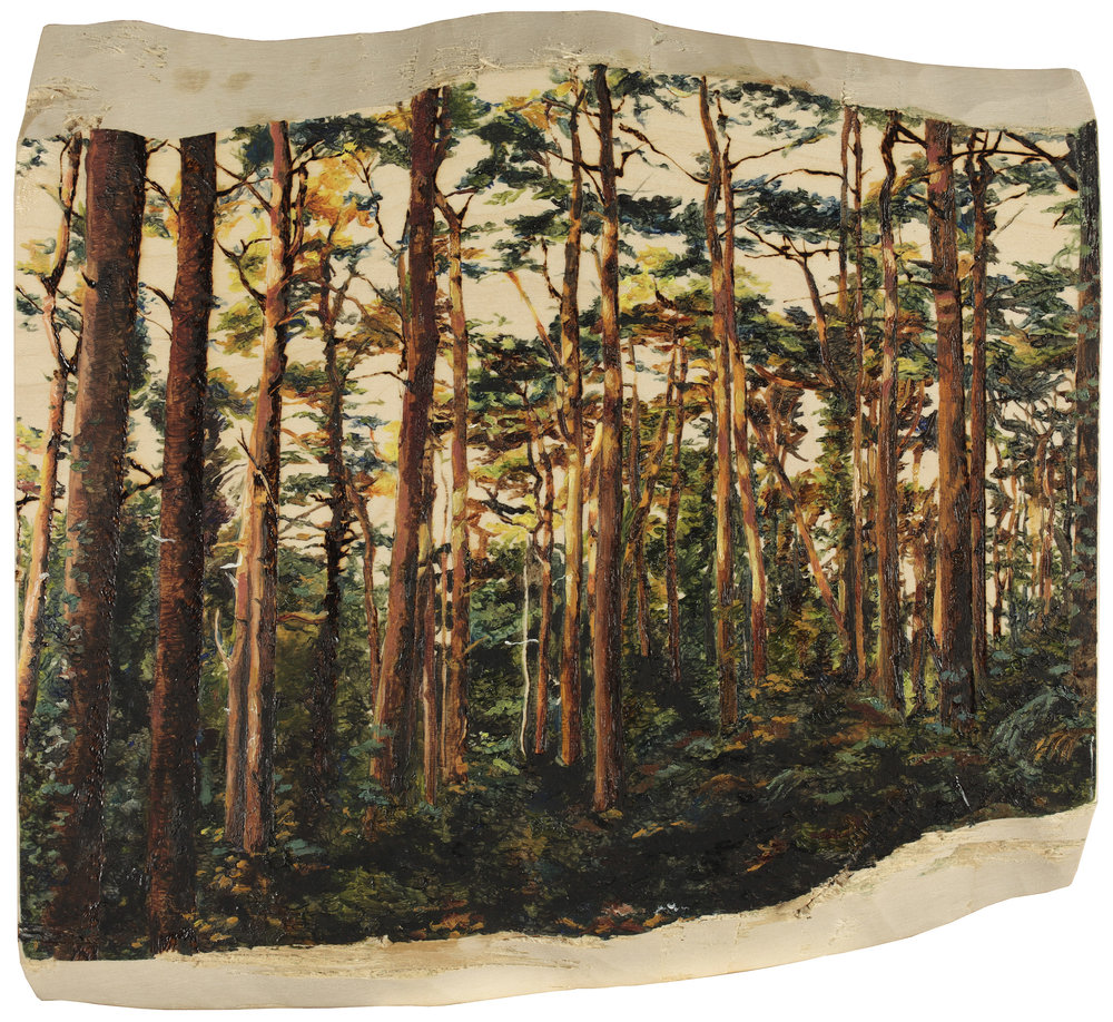 'Pine Forest', Tilia Holmes, Pyrography and oil on wood, 27 x 30 x 3 cm
