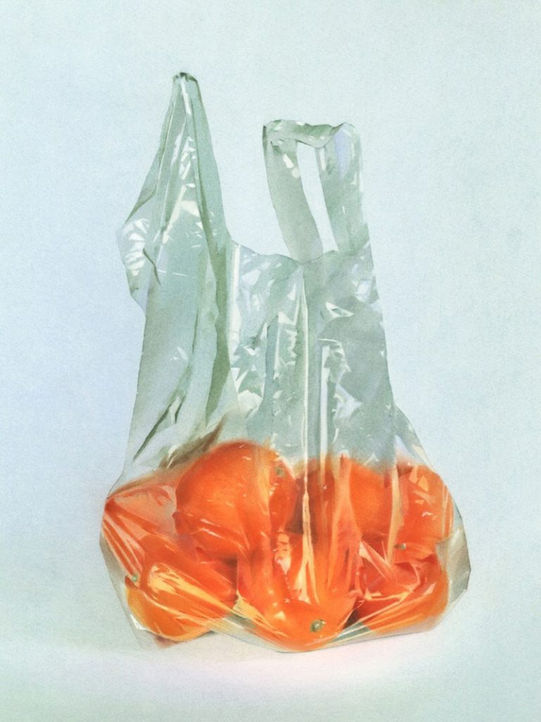 'Orange', Anna Roberts, Pastel on Saunders Waterford 300g cotton paper, 28.5 x 38 cm