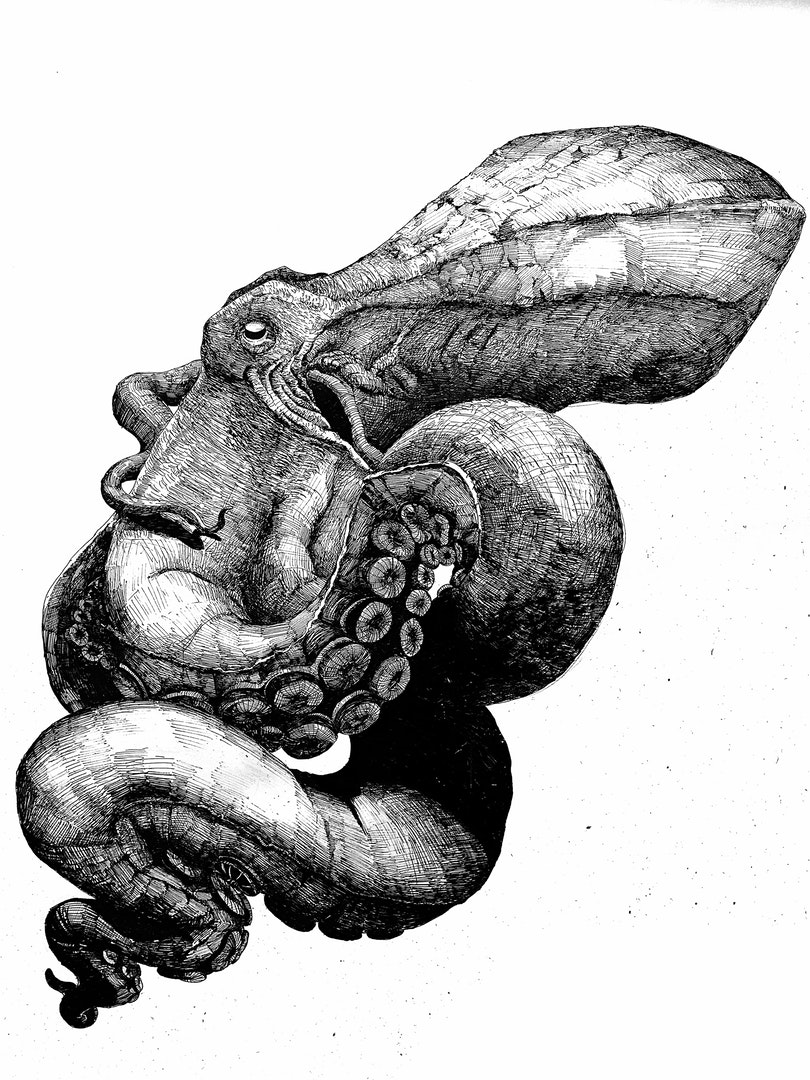 'Octopus by Ink', Fellipe Rinschede, Nankin pen on paper, 64 x 86 cm