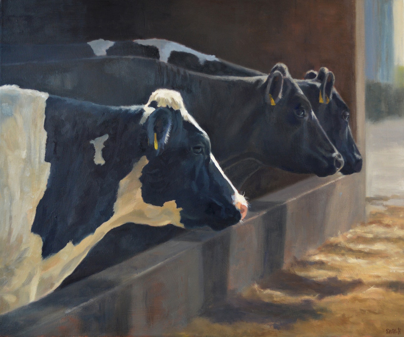 Sara Hodson. Cows, January. Longlist JPP 2020