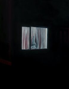 'Neighbourhood Watch', Bianca MacCall, Oil on board, 46 x 35 cm