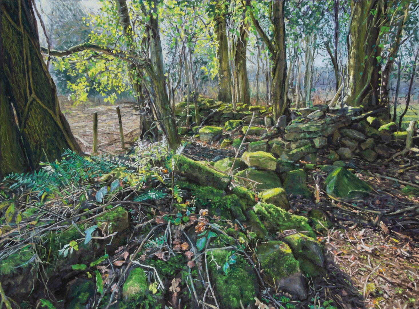 'Mossy wall in low sunlight', Bridget Derc, Soft pastels on pastelmat, 44 x 60 cm