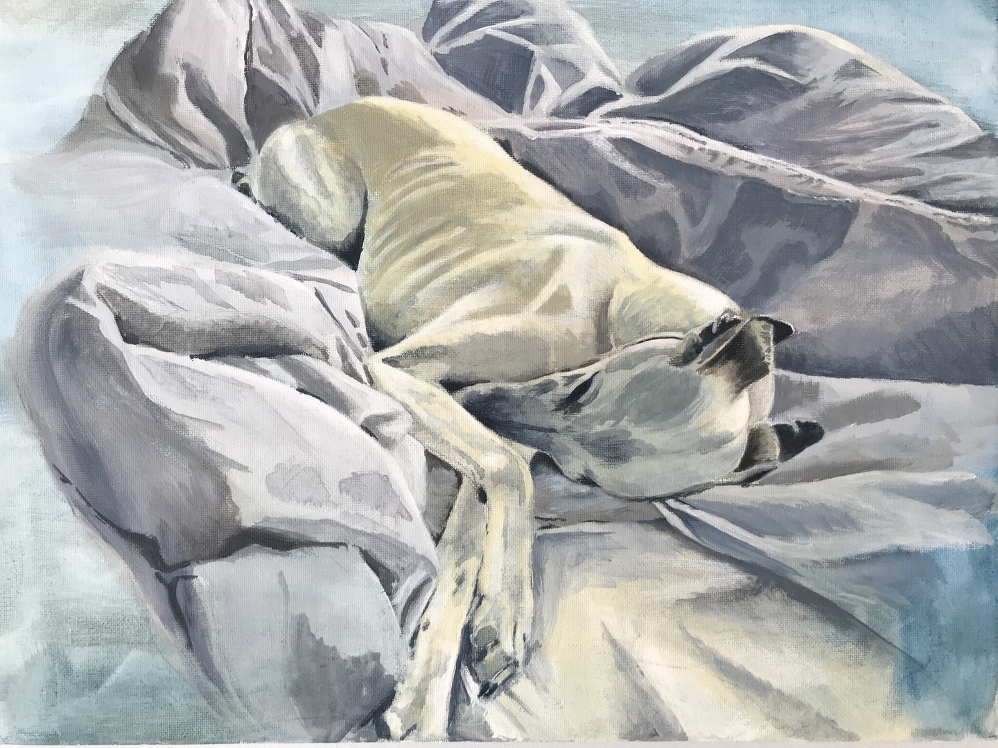 'Dog on Duvet', Claire Gurnett, acrylic on canvas, 40 x 30 cm