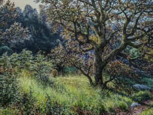 'The oak tree', Josep M. Solà, Oil on linen, 60 x 81 cm