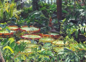 'Kew's Princess of Wales Conservatory', Lucy Cariou, Watercolour on paper, 25 x 34 cm