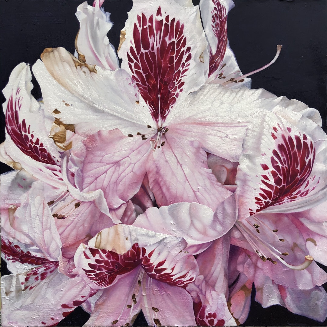 'Rhododendron, Massey Woods', Peter Homan, Oil and fire on canvas, 80 x 80 cm