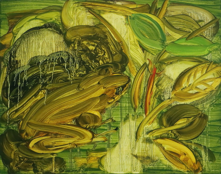 'Frog', Barbara Howey, Oil on gesso board, 28 x 35 cm