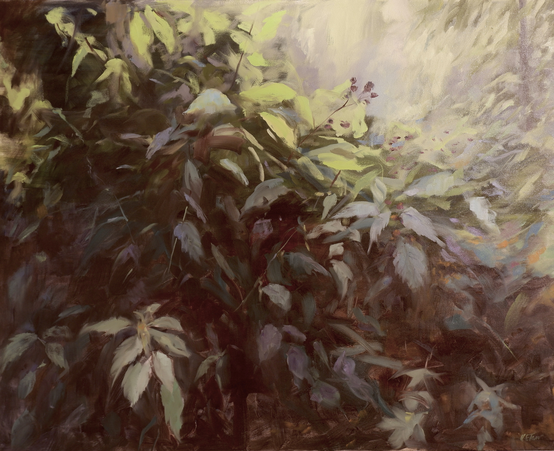 'Stingers And Thorns', Helen Tarr, Oil on canvas, 81 x 102 cm