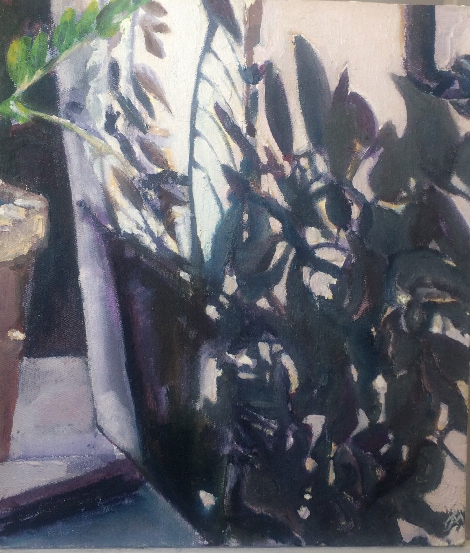 'Zamioculcas In The Shadow', Julie Menelaou, Oil on linen, 30 x 25 cm