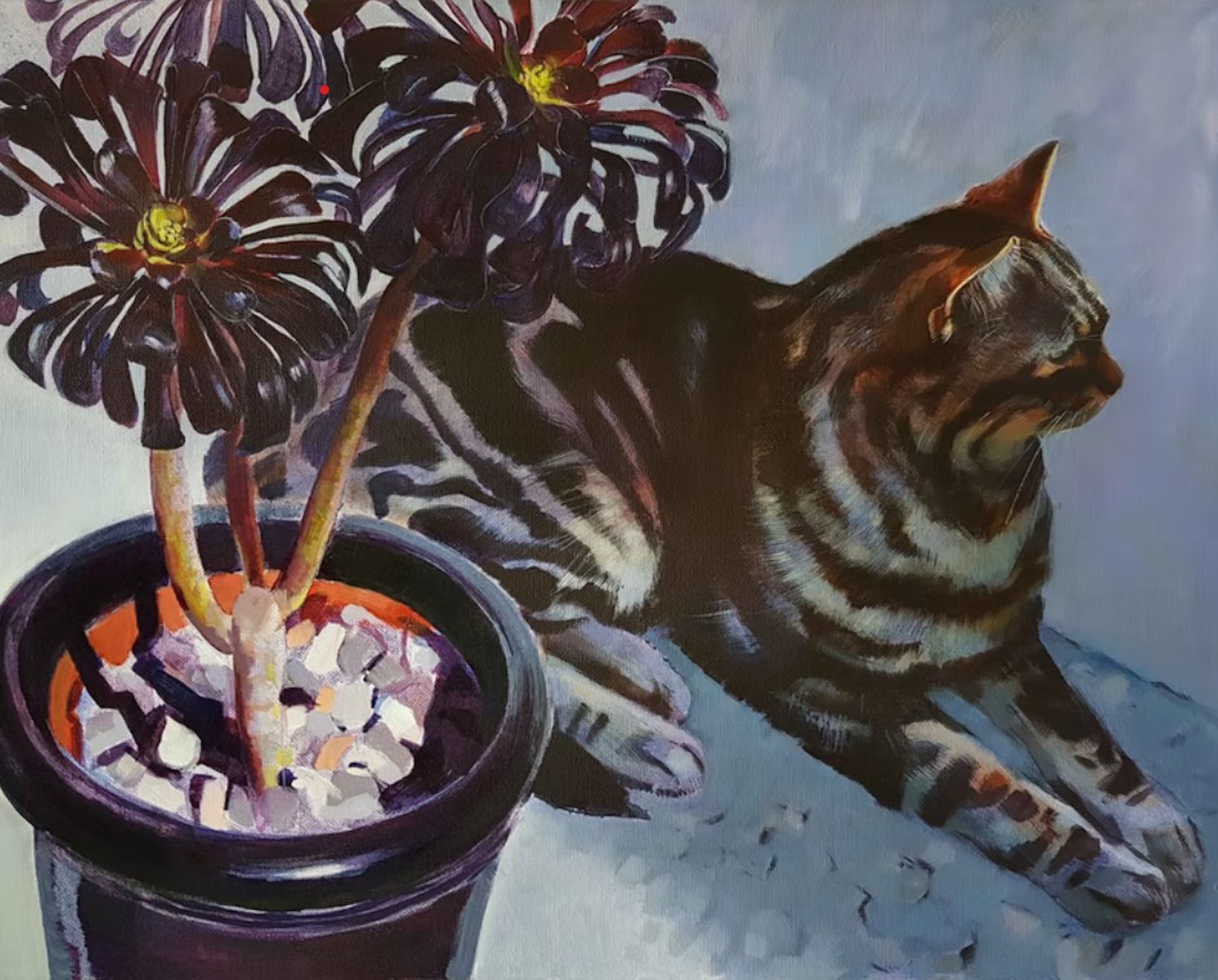 'Cat And Aeonium', Karen Steer, Acrylic on canvas, 40 x 50 cm