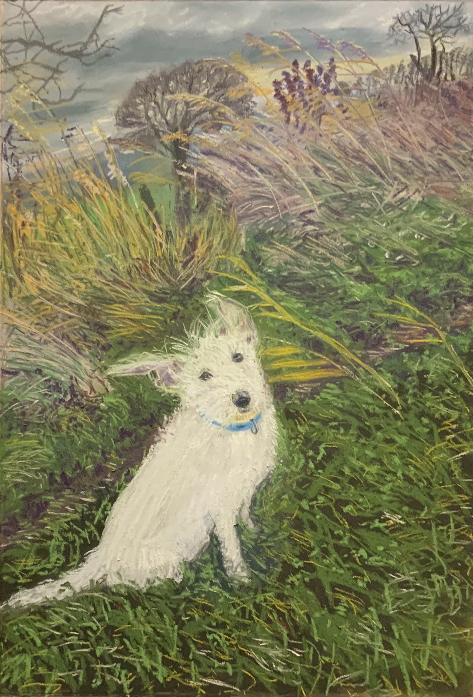 'Dog On A Windy Day', Keshani Douglas, Soft pastels, 27 x 39 cm