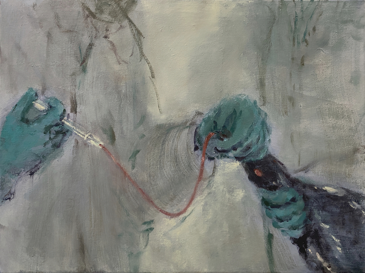 'Feeding Time', Marcia Teusink, Oil on canvas, 45 x 60 cm