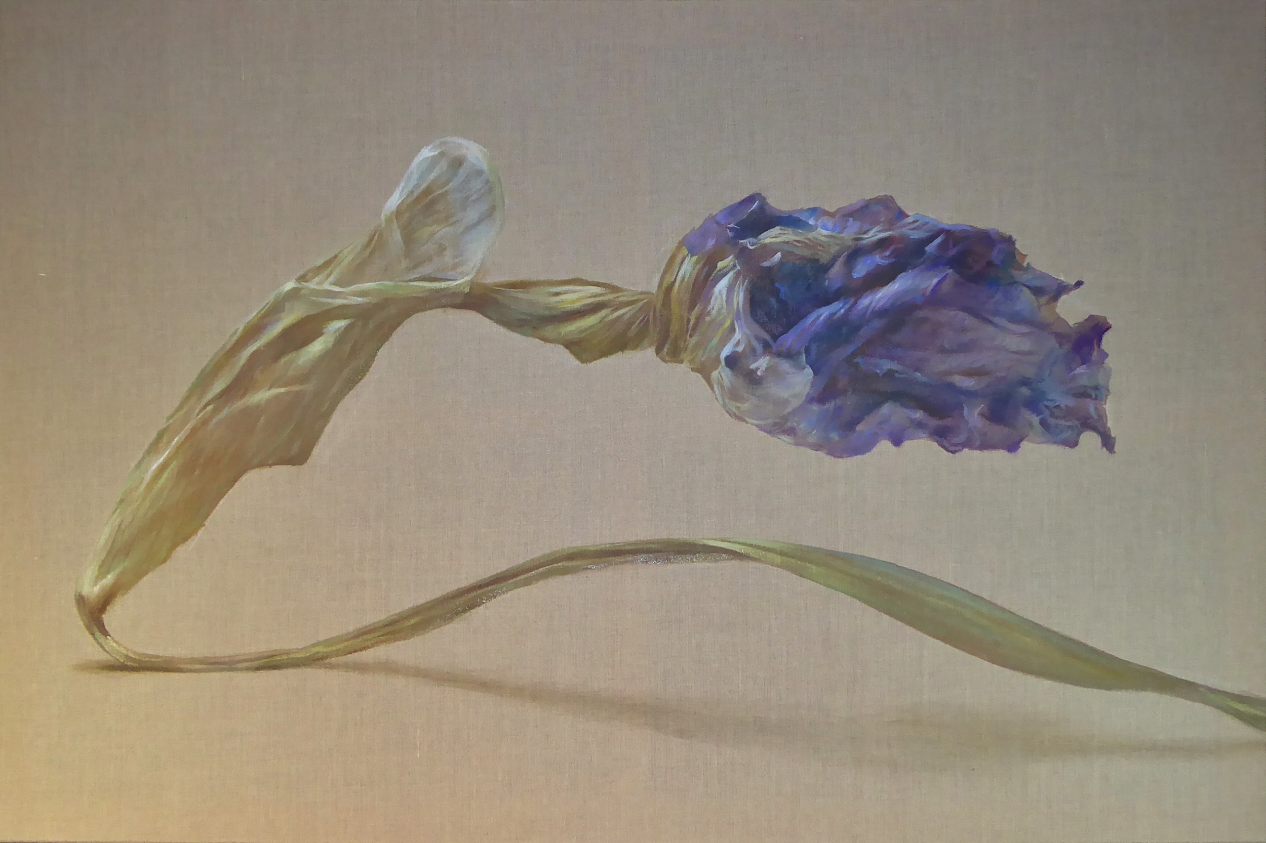 'Decay (Irisflower)', Marieluise Bantel, Oil on canvas, 80 x 120 cm