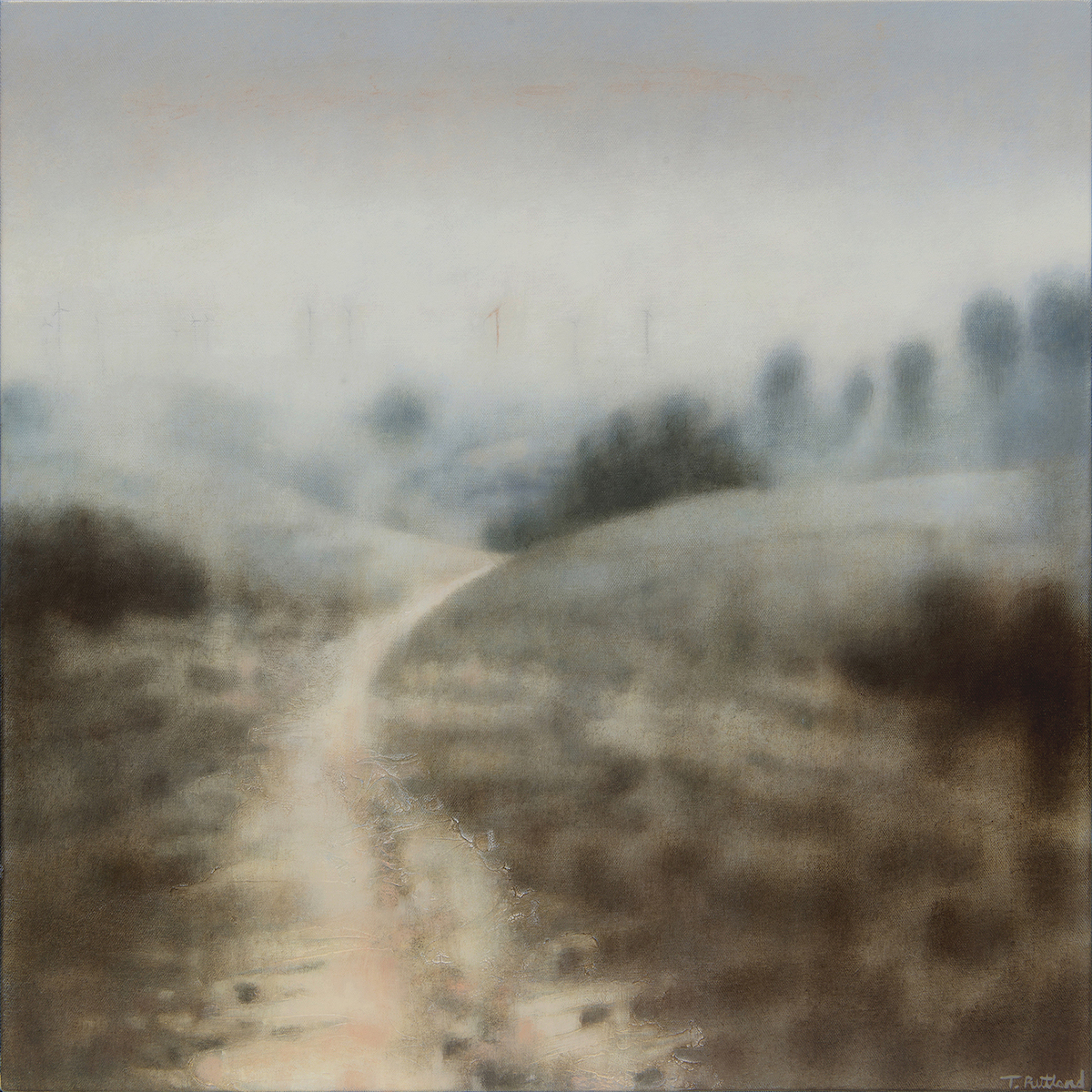 'Ghost White Path', Tania Rutland, Oil on canvas, 50 x 50 cm