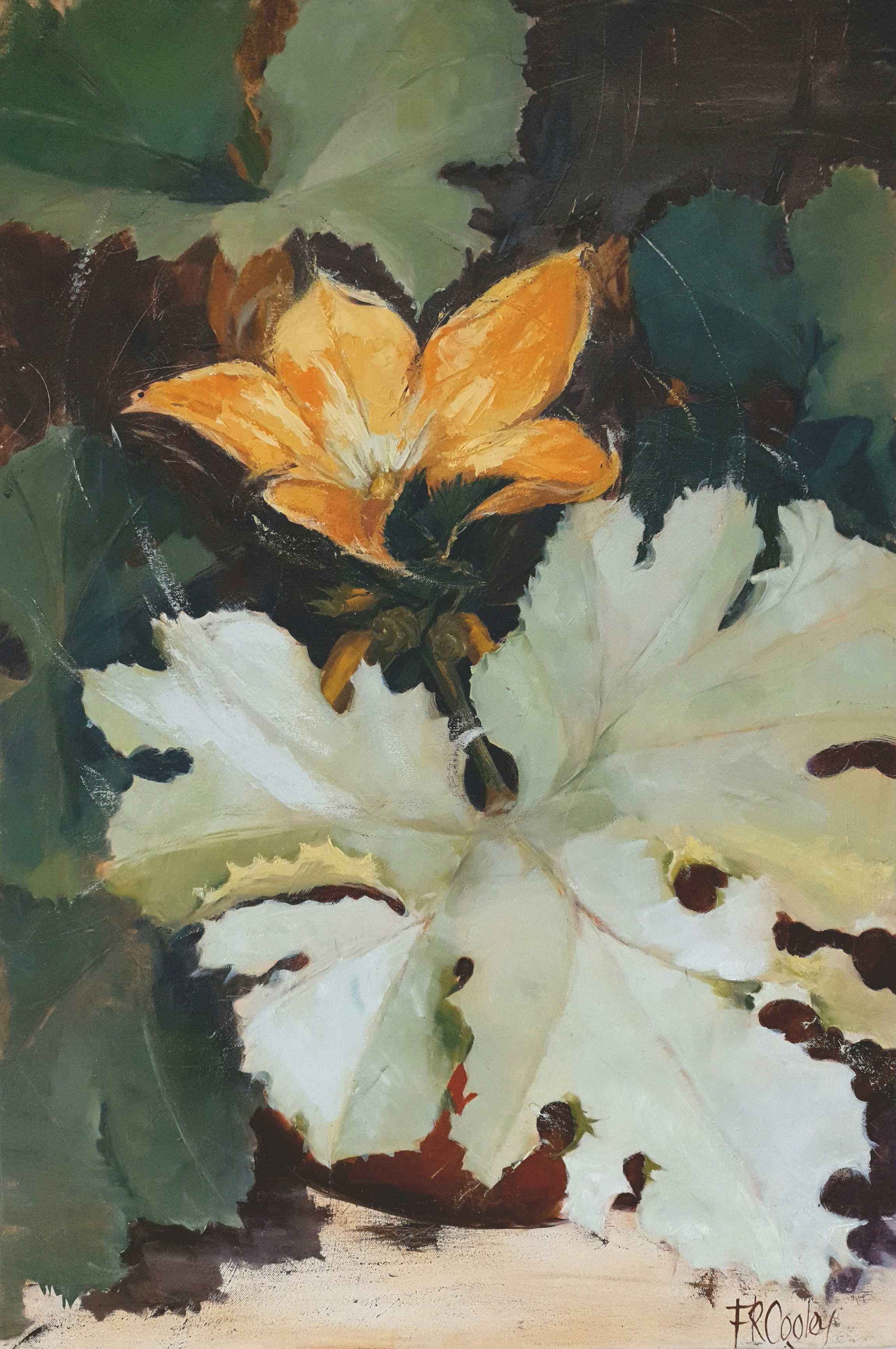 'Courgette flower', Frances Cooley, Oil on Canvas, 110 x 75 cm