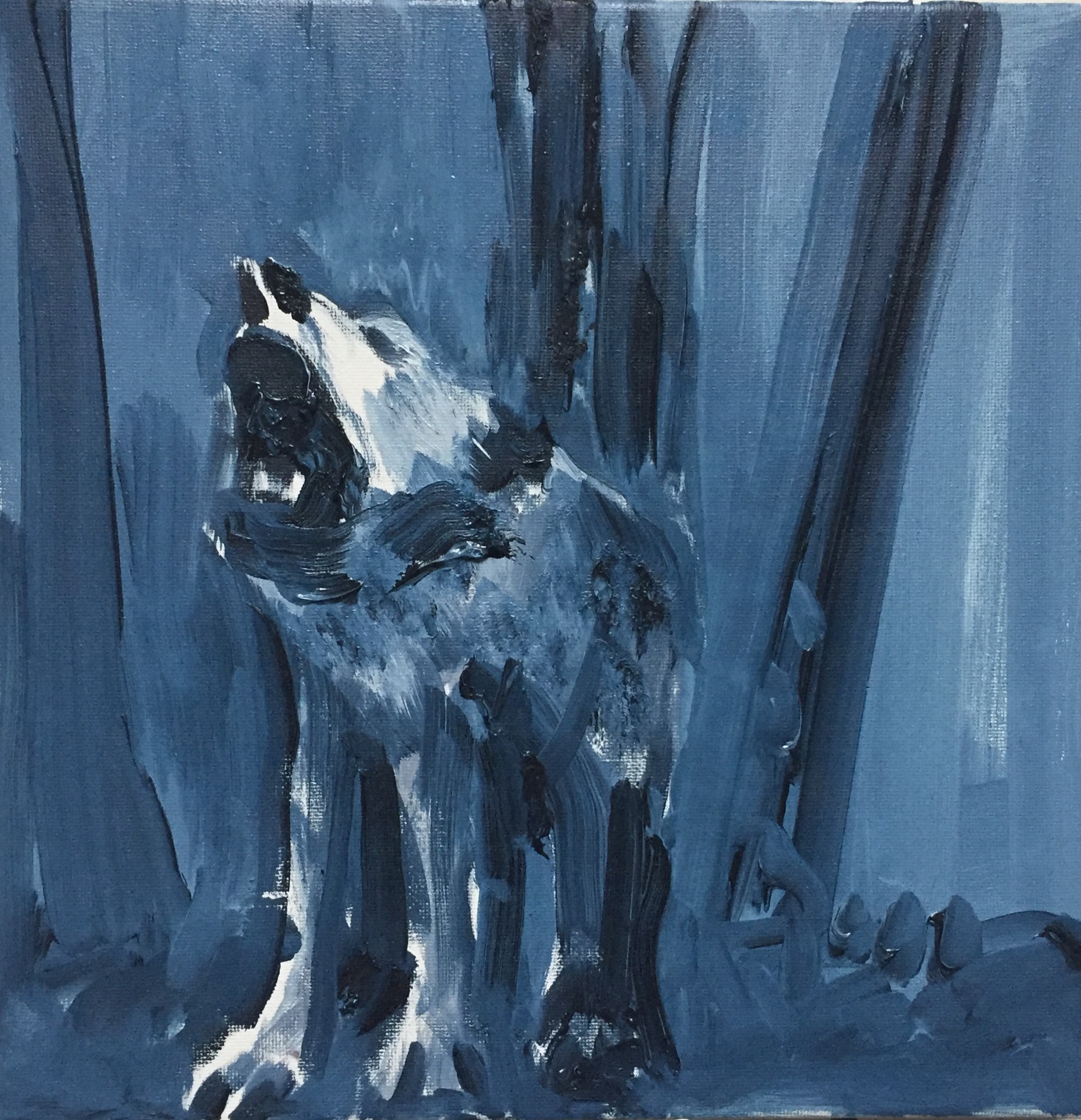 'Love Dog', Eilish McCann, Oil on Canvas, 20 x 20 cm